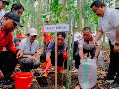 Bupati Badung I Nyoman Giri Prasta memimpin kegiatan penanaman 1.000 pohon pala di Hutan Pala Sangeh, Selasa (26/11)